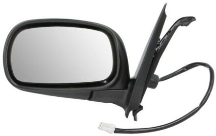 Nissan Buitenspiegel 5402041127522P