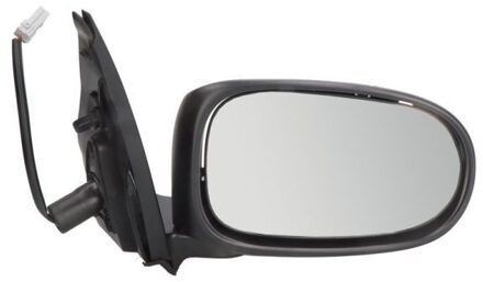 Nissan Buitenspiegel 5402041128551P