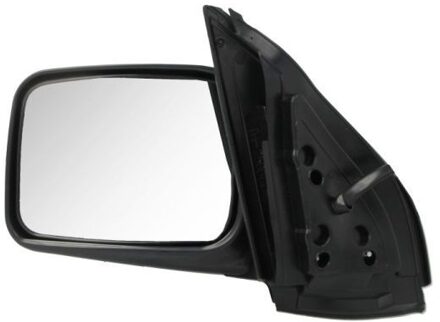 Nissan Buitenspiegel 5402049929513P