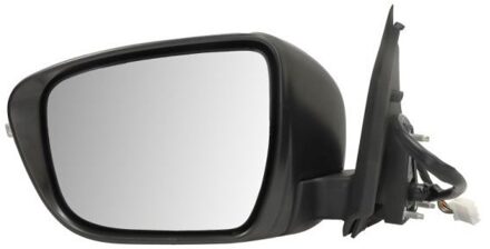 Nissan Buitenspiegel 5402160967310P