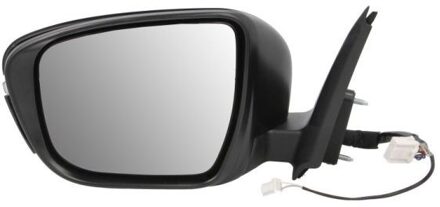 Nissan Buitenspiegel 5402160967314P