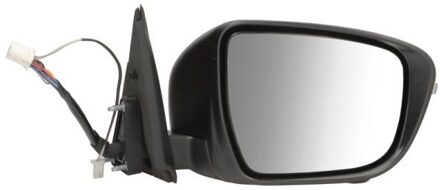 Nissan Buitenspiegel 5402160967315P