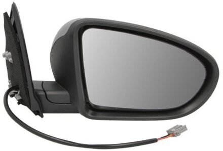 Nissan Buitenspiegel 5402161018311P