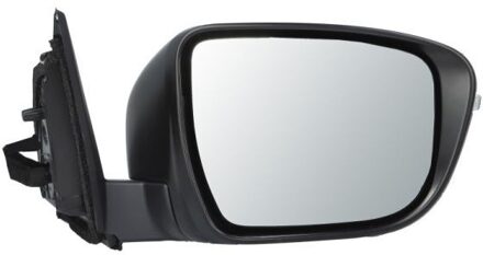 Nissan Buitenspiegel 5402161020313P