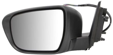 Nissan Buitenspiegel 5402161020316P