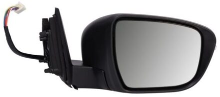 Nissan Buitenspiegel 5402161020317P