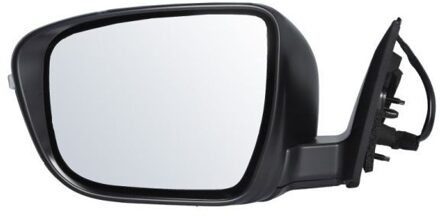 Nissan Buitenspiegel 5402161036312P