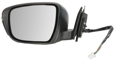 Nissan Buitenspiegel 5402161036316P