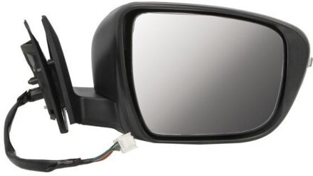 Nissan Buitenspiegel 5402161036317P