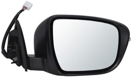Nissan Buitenspiegel 5402161036319P