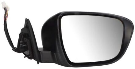 Nissan Buitenspiegel 5402161036321P