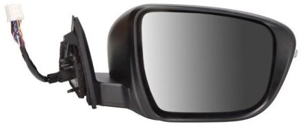 Nissan Buitenspiegel 5402161036323P