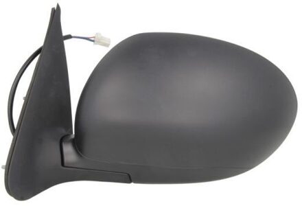 Nissan Buitenspiegel 5402162001871P