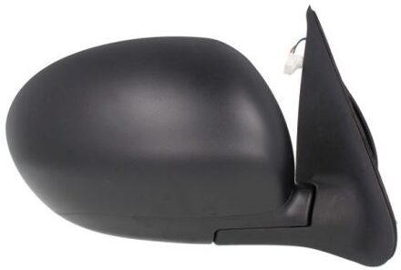 Nissan Buitenspiegel 5402162001872P