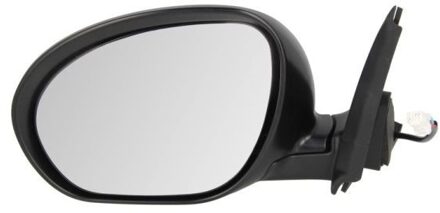 Nissan Buitenspiegel 5402162001873P