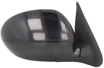 Nissan Buitenspiegel 5402162001874P