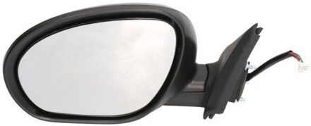 Nissan Buitenspiegel 5402162001877P