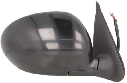 Nissan Buitenspiegel 5402162001878P