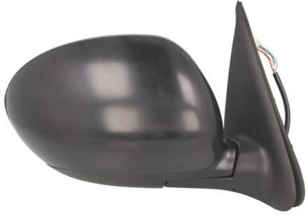 Nissan Buitenspiegel 5402162001890P