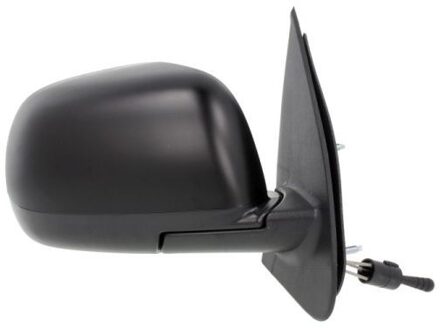 Nissan Buitenspiegel 5402162001906P