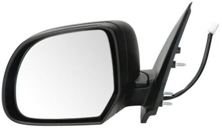 Nissan Buitenspiegel 5402162001909P