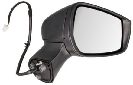 Nissan Buitenspiegel 5402162001914P