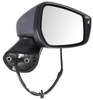 Nissan Buitenspiegel 5402162001916P