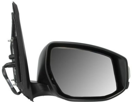 Nissan Buitenspiegel 5402162001950P