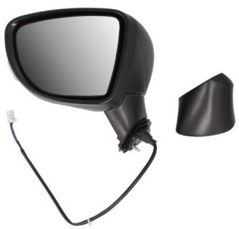 Nissan Buitenspiegel 5402162104310P