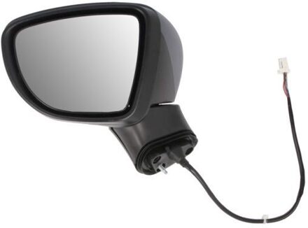 Nissan Buitenspiegel 5402162104312P