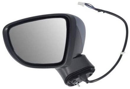 Nissan Buitenspiegel 5402162104316P