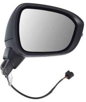 Nissan Buitenspiegel 5402162384311P