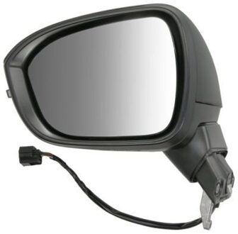 Nissan Buitenspiegel 5402162384312P