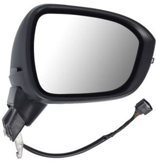 Nissan Buitenspiegel 5402162384313P