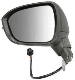 Nissan Buitenspiegel 5402162384314P