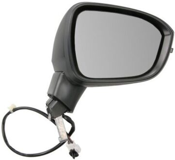 Nissan Buitenspiegel 5402162556311P