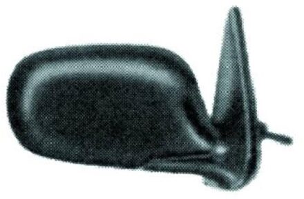 Nissan Buitenspiegel 6022025