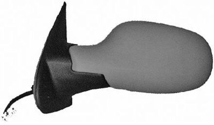 Nissan Buitenspiegel 6024125