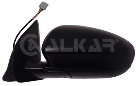 Nissan Buitenspiegel 6125567