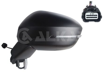 Nissan Buitenspiegel 9039764