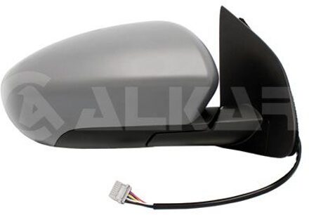 Nissan Buitenspiegel rechts volledig 6144567