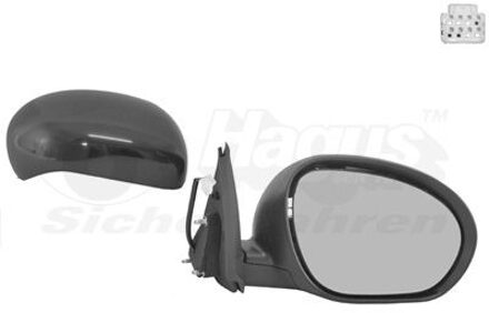 Nissan Buitenspiegel