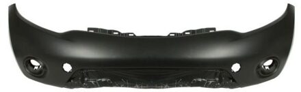 Nissan Bumper 5510001619901P