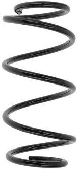 Nissan Chassisveer SP4165