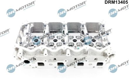 Nissan Cilinderkop DRM13405
