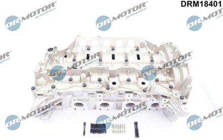 Nissan Cilinderkop DRM18401