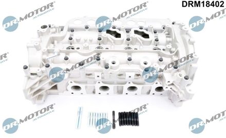 Nissan Cilinderkop DRM18402