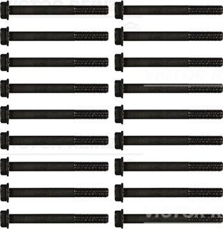 Nissan Cilinderkopbout set 145504101