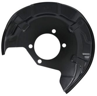 Nissan Dekplaat, remschijf 6508031618878K