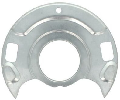 Nissan Dekplaat, remschijf 6508031666379K